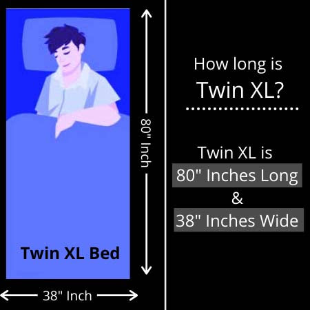 How Long is Twin XL