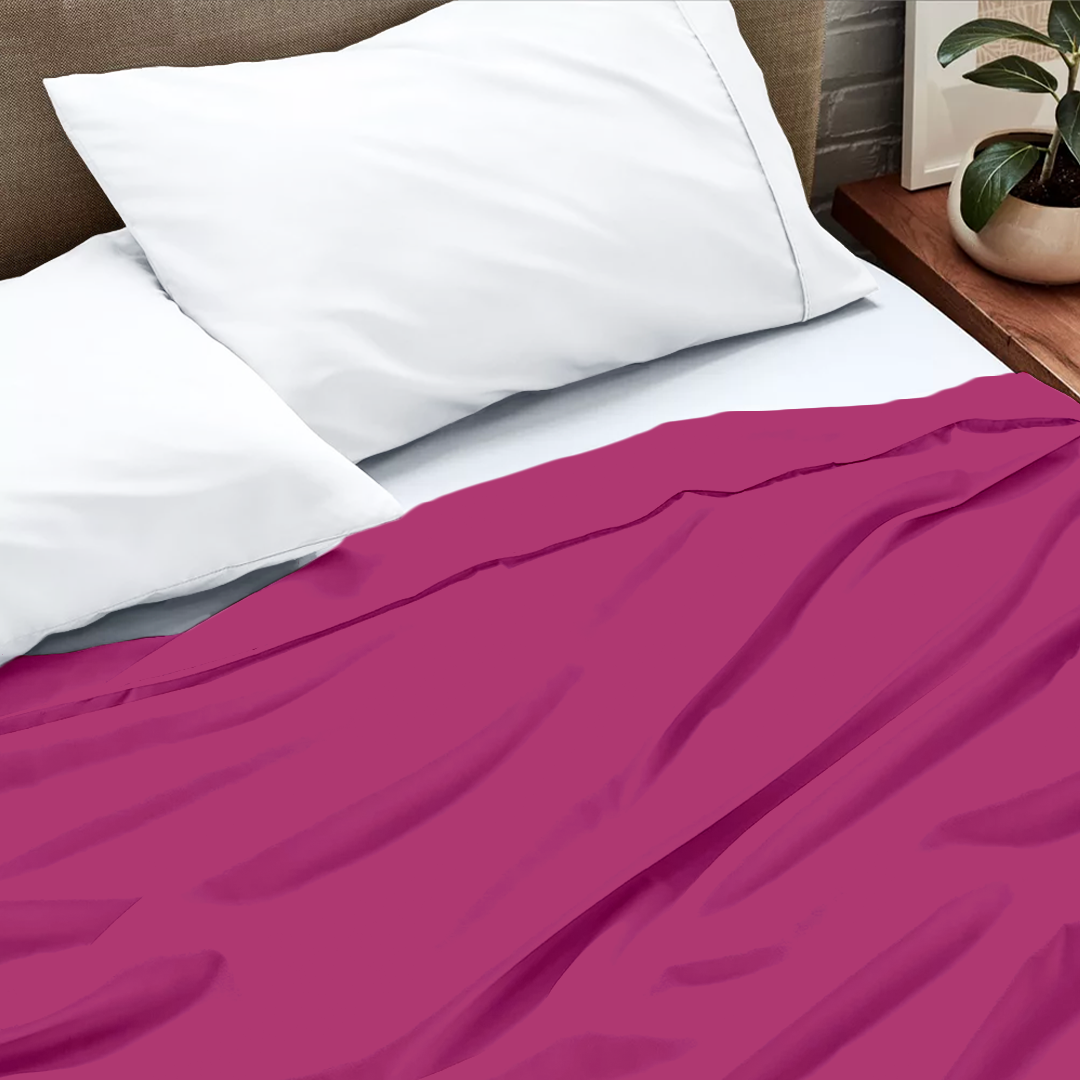 Hot Pink Flat Sheet Solid (Comfy 300TC)