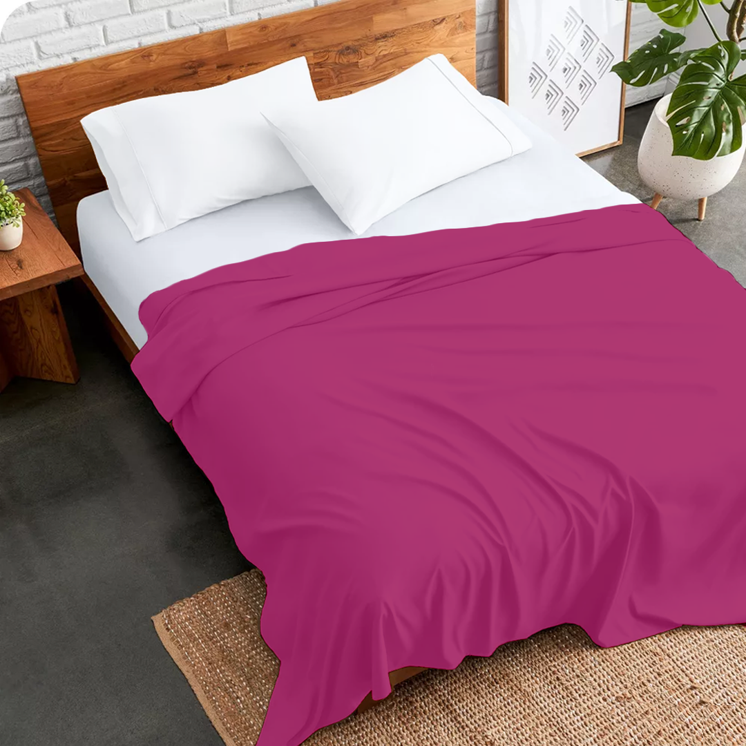 Hot Pink Flat Sheet Solid (Comfy 300TC)