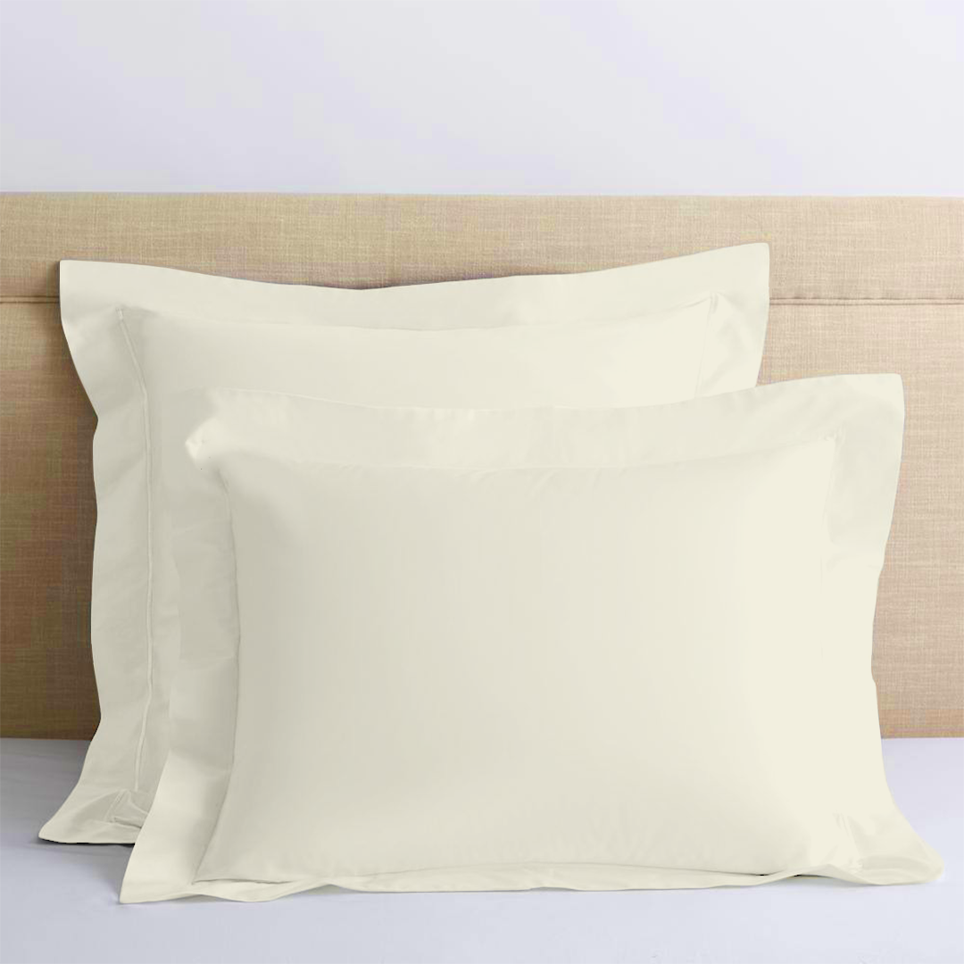 Ivory Euro Shams Solid Bliss Sateen