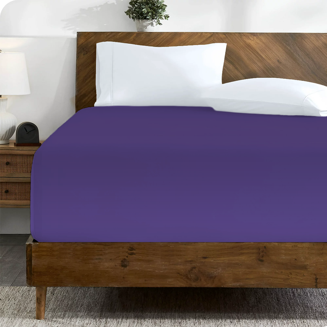 Purple Fitted Sheet Solid (Comfy 300TC)