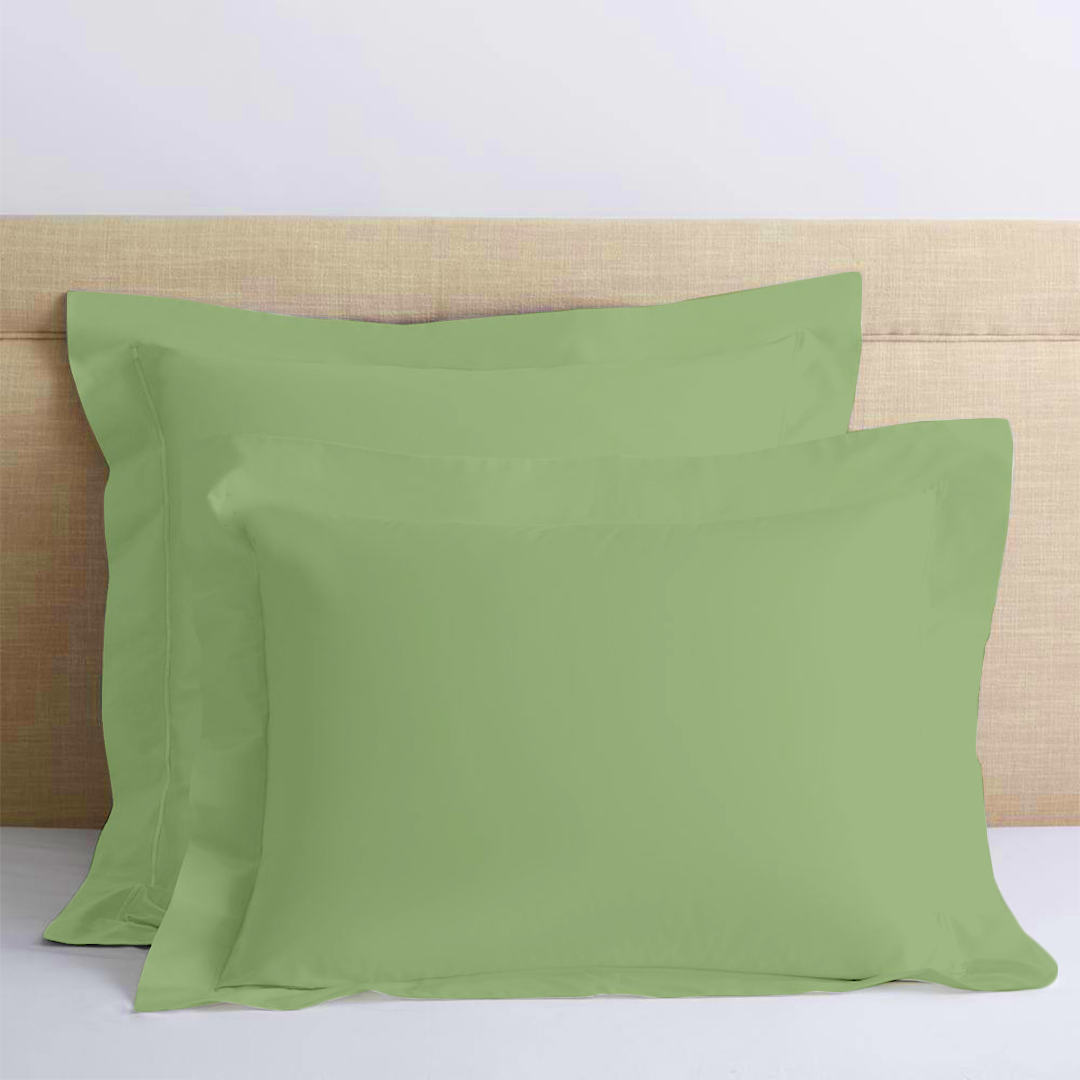 Sage Euro Shams Solid Bliss Sateen